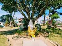 越南大叻市中心著名寺廟景點：靈光寺Chùa Linh Sơn，祈福很靈驗，適合打卡拍照📸祈福