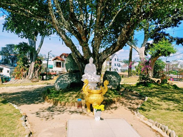 越南大叻市中心著名寺廟景點：靈光寺Chùa Linh Sơn，祈福很靈驗，適合打卡拍照📸祈福