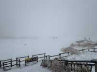 雪化粧の草千里ヶ浜で感じた幻想的な風景