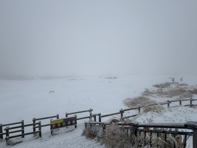 雪化粧の草千里ヶ浜で感じた幻想的な風景