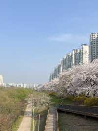 석촌호수말고 여기가세요!