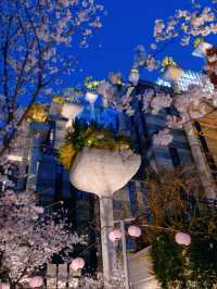 Shanghai's Futuristic Urban Sakura Oasis-1000 Trees