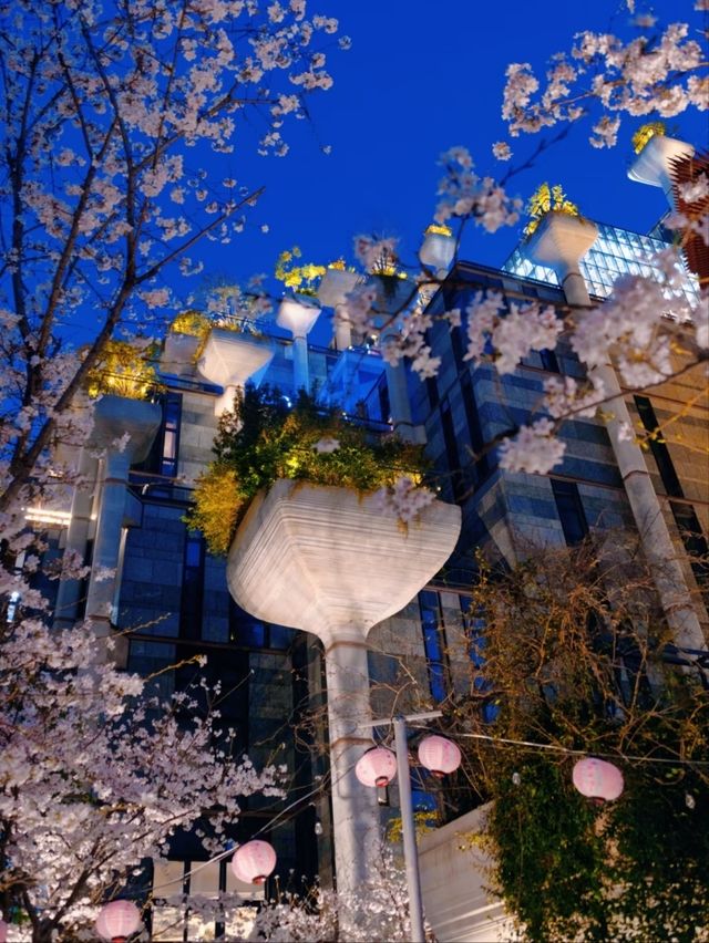 Shanghai's Futuristic Urban Sakura Oasis-1000 Trees