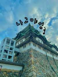 🏯 나고야성 – 나고야의 대표적인 관광지