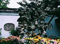 蘇州獅子林旅遊攻略