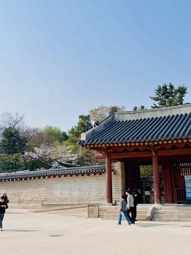 종로 서울 가볼만한곳🌸