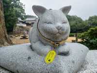 【岡山】日本100名城・備中松山城