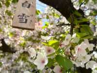 預約才進得去的～造幣局❤️