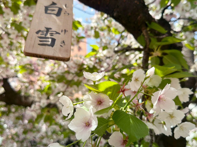 預約才進得去的～造幣局❤️