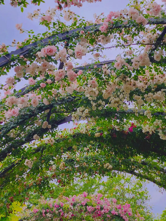 Yokohama English Garden
