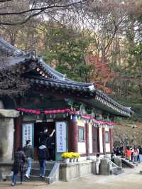 ⛩️고요함부터 힙함까지, 경주 하루 코스 추천