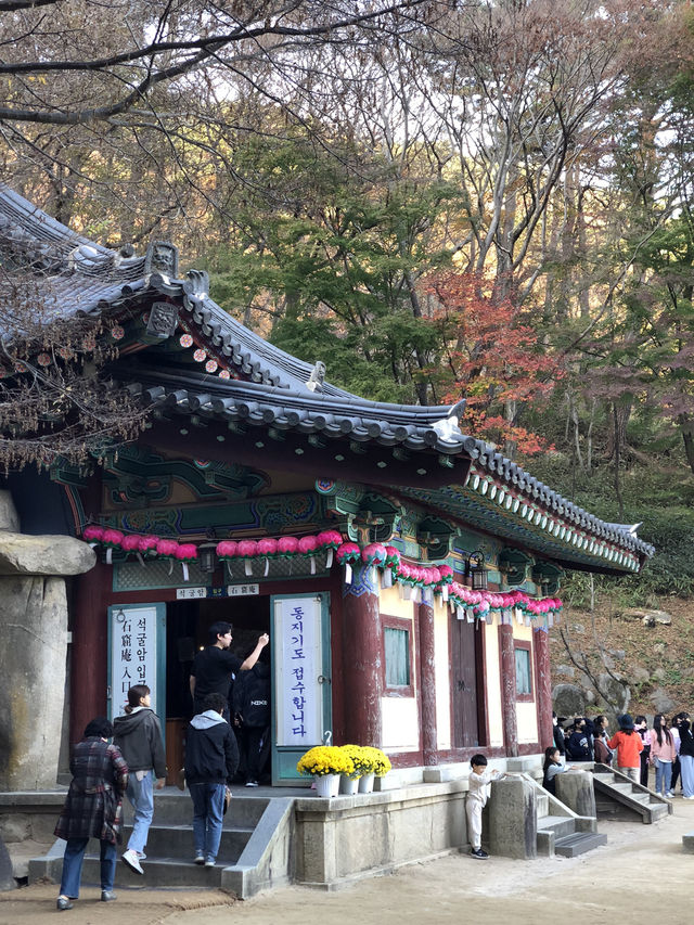 ⛩️고요함부터 힙함까지, 경주 하루 코스 추천