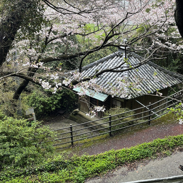🇯🇵【熊野古道】紀伊路　世界遺産🌎