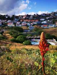 Cristol Rei, Madeira, Portugal