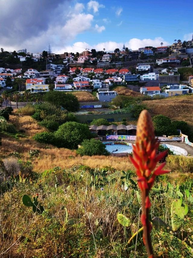 Cristol Rei, Madeira, Portugal