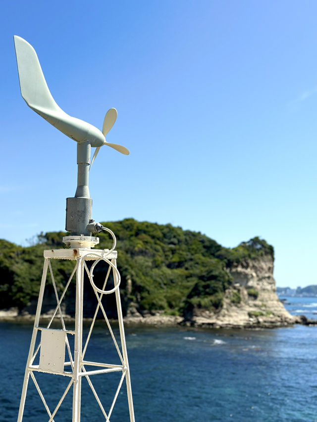 【千葉】ダイバー気分で海の中を観察できます