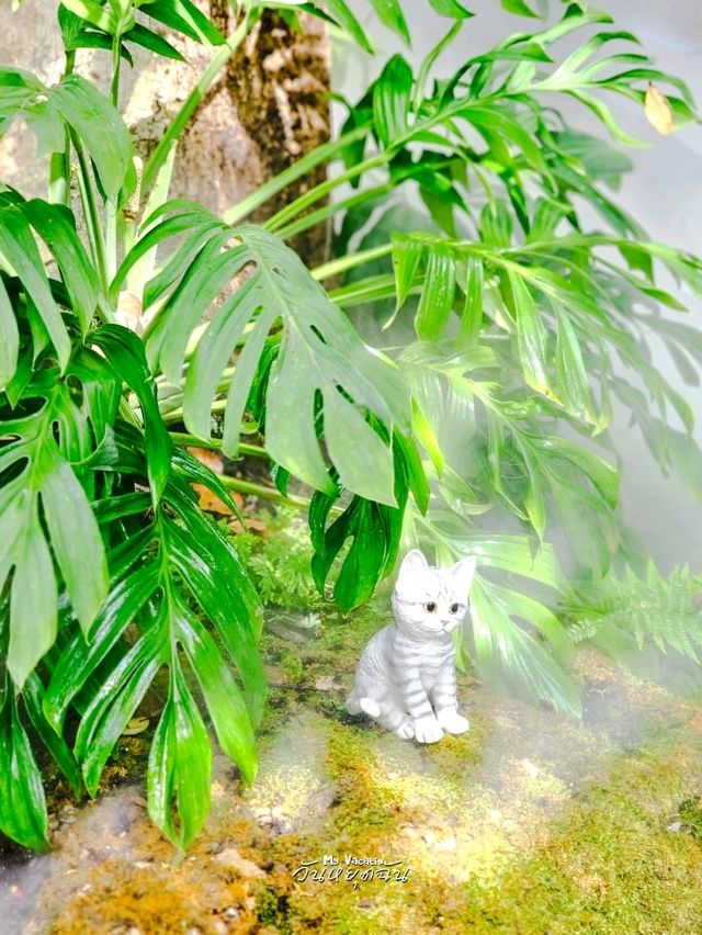 Cococat Cafe