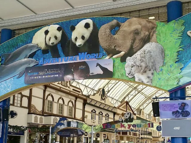 【和歌山県】こどもから大人までたのしめるスポット🐘