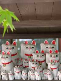 【東京】招き猫の発祥地  大小様々な猫ちゃんがぎっしり！