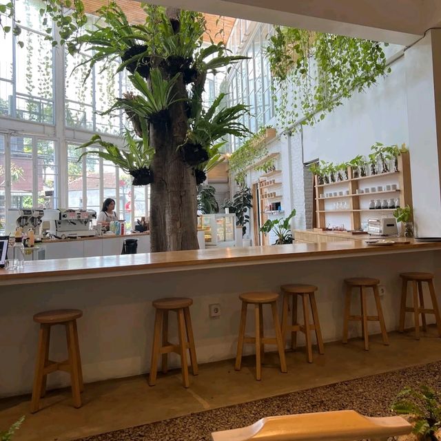 beautiful place to hang out