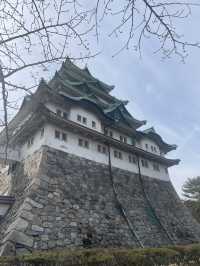 名古屋非預期的賞櫻