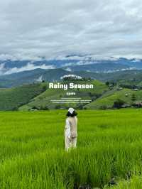 12 กิจกรรมเที่ยวฤดูฝน ⛰️🌳🌧️🍃