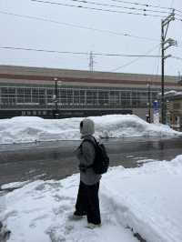 도쿄여행 근교 추천코스, 니가타현 에치고유자와 🌨️