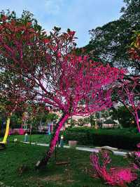 Hidden in Bloom – A Secret Garden Escape in Putrajaya