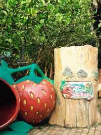 🍓✨ Genting Strawberry Leisure Farm: A Berry Sweet Escape!