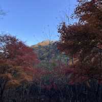 【釈迦ヶ岳】🏔️ 鈴鹿セブンマウンテン