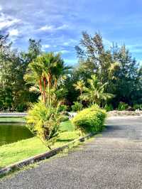 Beauty and Calm by Nature 