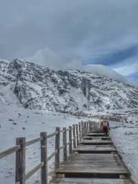 Breathing the Sky: A Calm Escape to Yak Meadow (牦牛坪) on Jade Dragon Snow Mountain