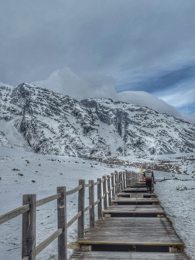 Breathing the Sky: A Calm Escape to Yak Meadow (牦牛坪) on Jade Dragon Snow Mountain