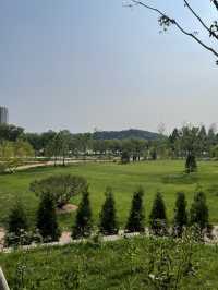 🌲 일월수목원, 수원의 숨은 보석!