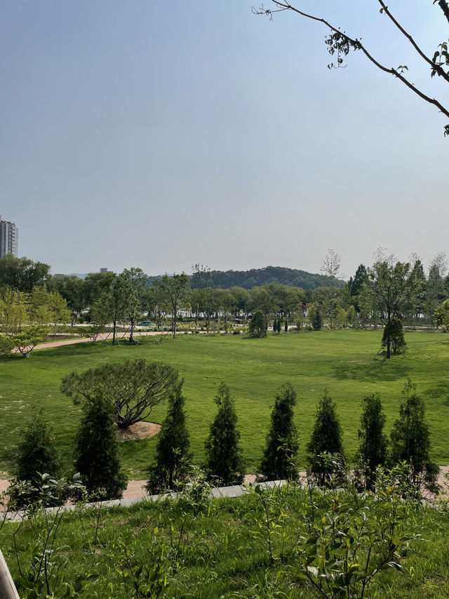 🌲 일월수목원, 수원의 숨은 보석!