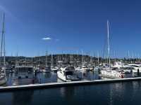 Explore the beauty of Hobart Tasmania 