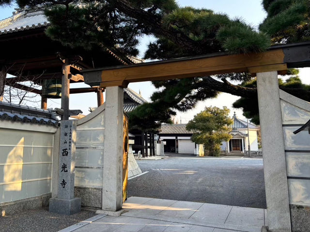 🇯🇵【香川県】鎌倉時代創建の浄土真宗のお寺！西光寺！(^^)