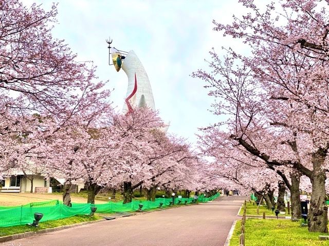 🌸 Expo '70 Park: Osaka's Secret Sakura Wonderland! 🌸