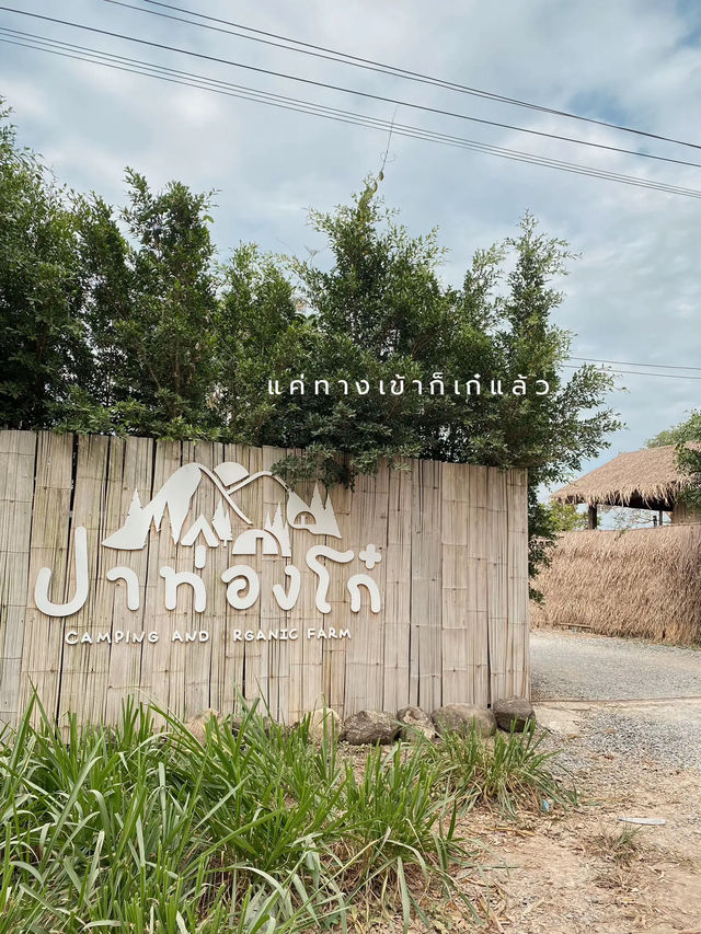 🏕 "ปาท่องโก๋" ลานกางเต็นท์สุดชิคกิจกรรมแน่น🥰✨