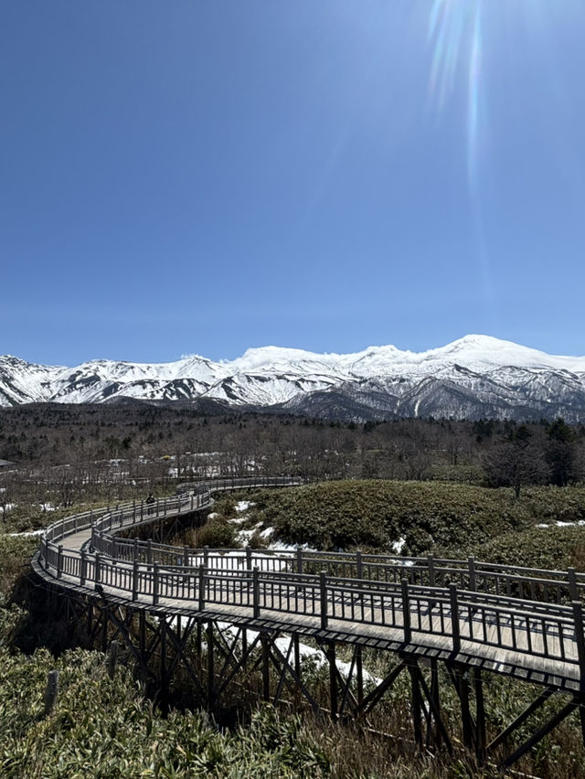 【世界遺産】知床五湖・高架木道で絶景散策！