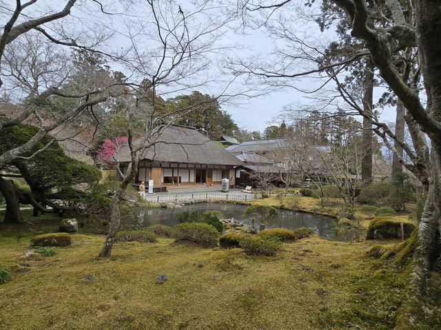 日本三景-松島（遊船+牡蠣可樂餅、烤扇貝、烤魚板）、圓通院、三慧殿