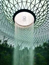 Layover Goals — Coffee & Views at Jewel Changi