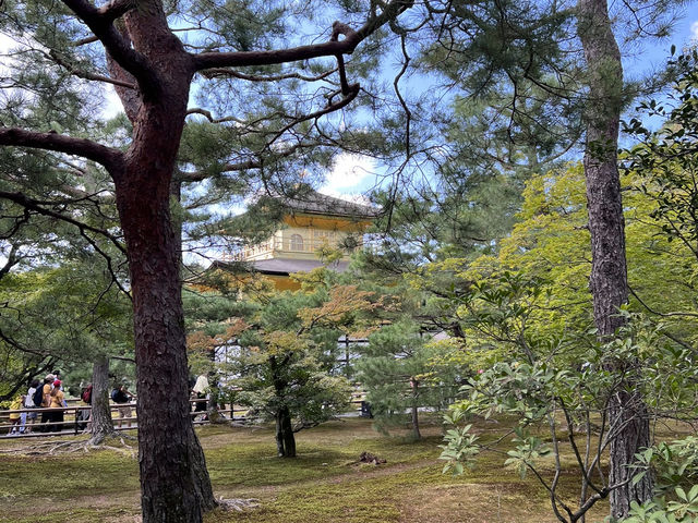 Kinkaku-ji: Kyoto’s Golden Jewel Among Zen Temples
