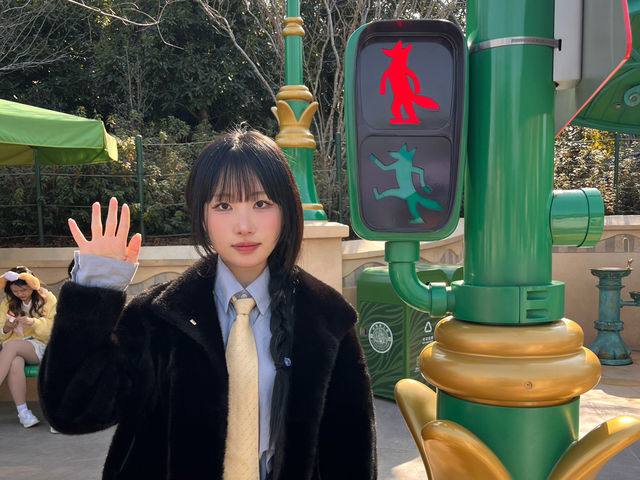 저질체력이 알려주는 상하이 디즈니랜드 꿀팁‼️