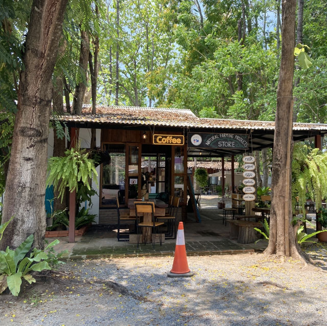 Smiling Cow Cafe