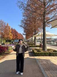 대한민국의 가을 순천의 가을🍂🍁