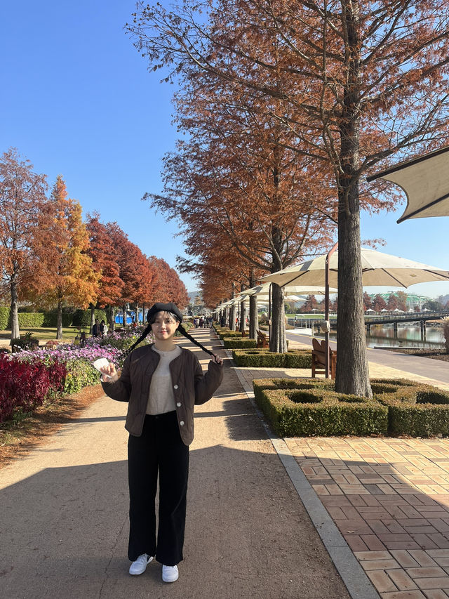 대한민국의 가을 순천의 가을🍂🍁