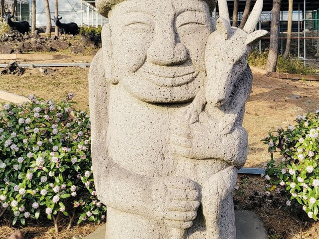 A Delightful Surprise at Jeju Cypress Forest