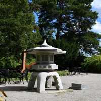 Late Summer Serenity – A Royal Botanical Gardens Experience