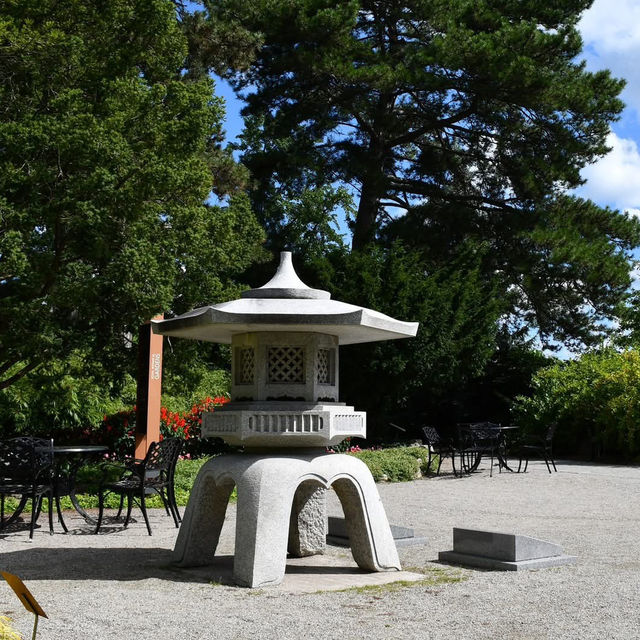 Late Summer Serenity – A Royal Botanical Gardens Experience